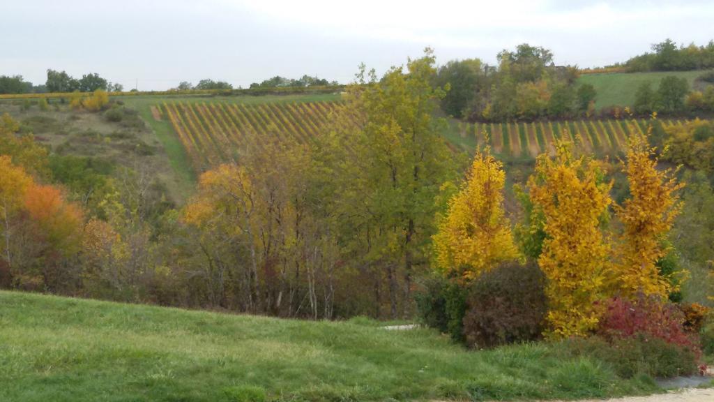 Les Hauts D'Albas Albas  Номер фото