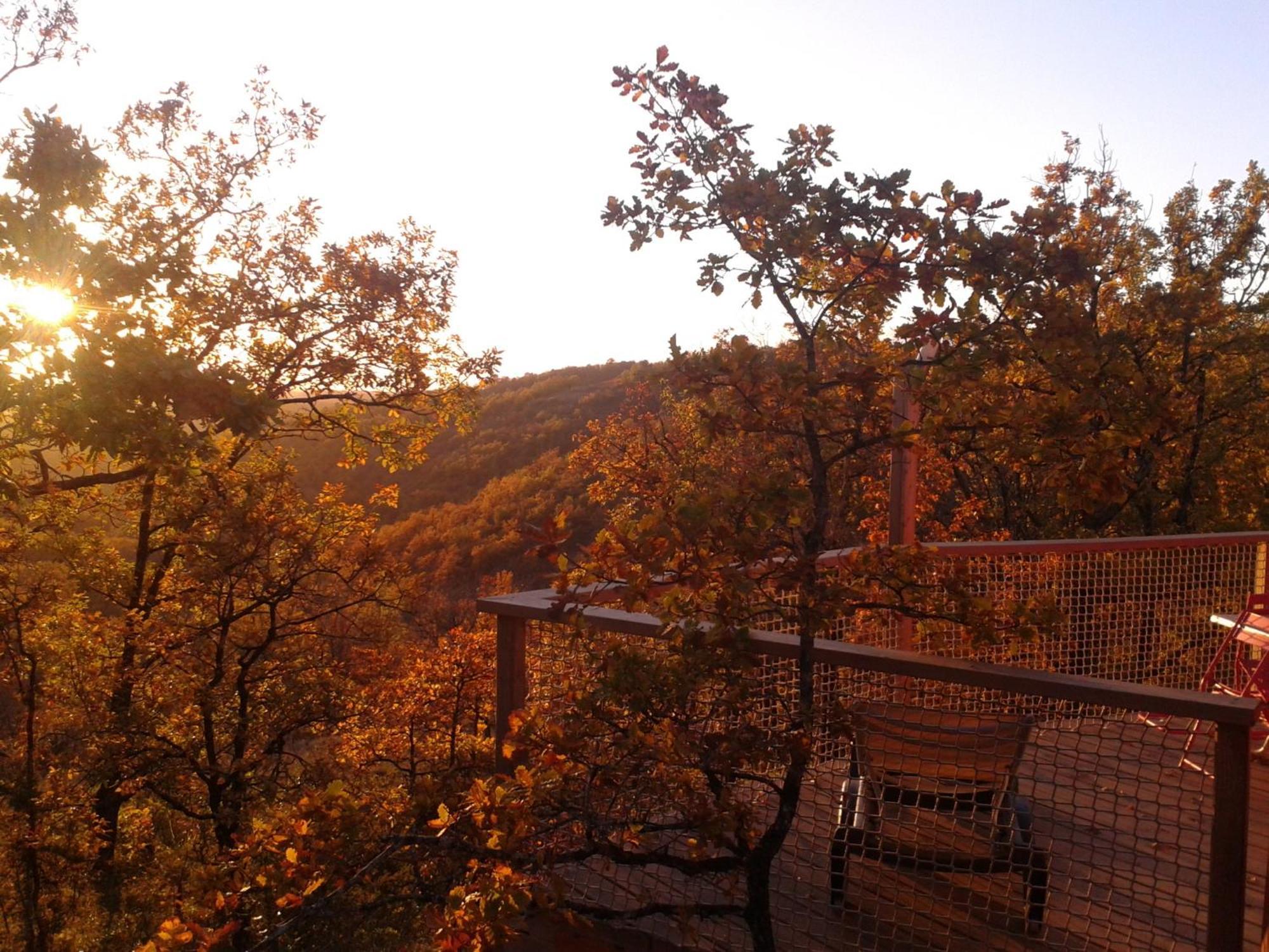 Les Hauts D'Albas Albas  Номер фото