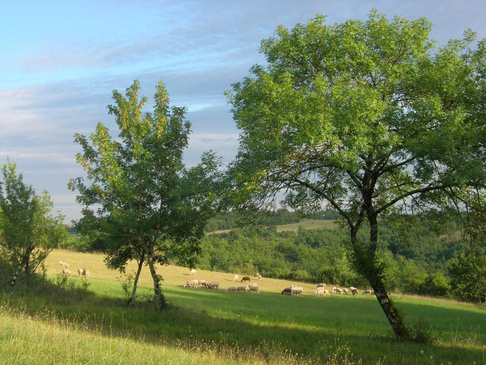 Les Hauts D'Albas Albas  Номер фото