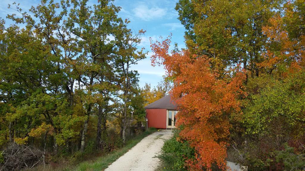 Les Hauts D'Albas Albas  Номер фото